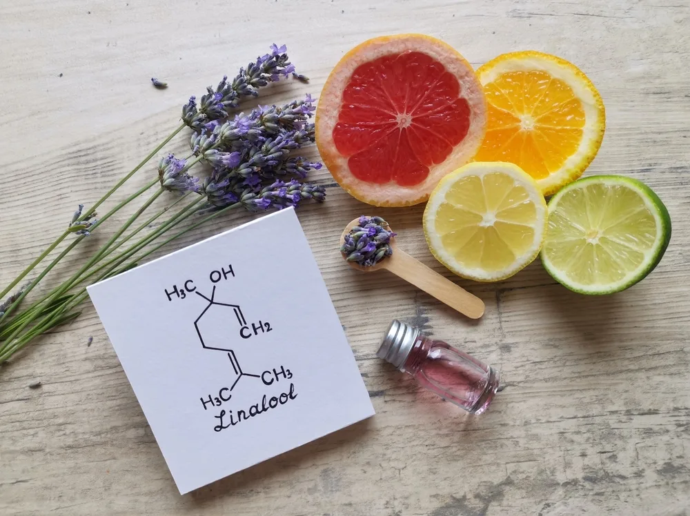 A flat lay of lavender sprigs, citrus fruit slices, a small vial with pink liquid, and a card showing the chemical structure of linalool